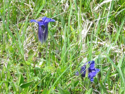 image003