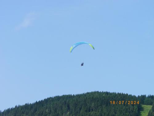 IMGP2506