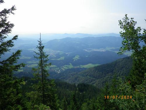 IMGP2507