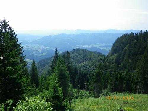 IMGP2512